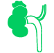 urologista-dr-celso-icon07
